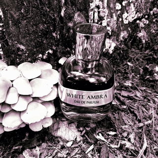 White Ambra - Omnia Profumi