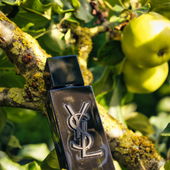 Vielen Dank, dass euch das Foto gefällt.... (von Cartman139)