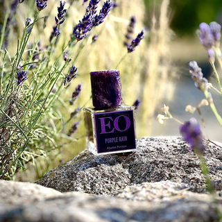 Purple Rain: Jiaozhi - Ensar Oud