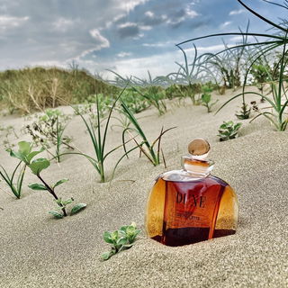 Dune (Eau de Toilette) by Dior