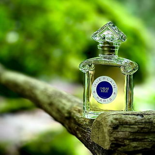 …📷🌍 Thank you. Danke schön. Merci beaucoup. Muchas gracias. Dōmo arigatō gozaimasu 💐…