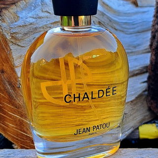 Chaldée (2013) von Jean Patou