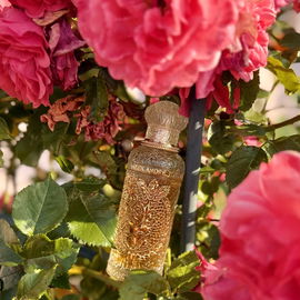Oriental Enigma (Eau de Parfum) - Alexandre.J