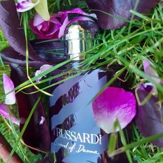 Sound of Donna von Trussardi
