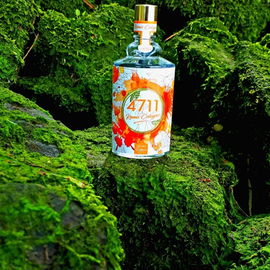 Tosca (Eau de Cologne) - Mäurer & Wirtz