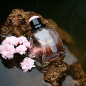 in meinem Garten aufgenommen :-) (by ElenaN)