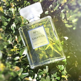 Poison Girl (Eau de Toilette) - Dior