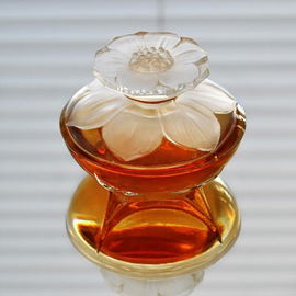 Narcisse Blanc (1923) / Le Narcisse Blanc - Caron