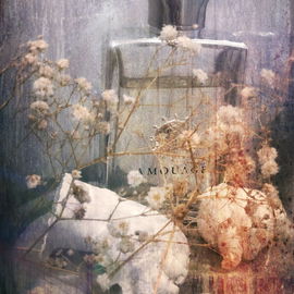 Reflection Man - Amouage