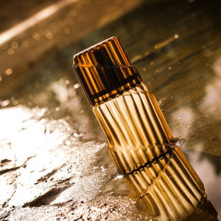Montana Homme (Eau de Toilette) - Montana