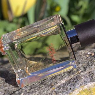 Terre d'Hermès (Eau de Toilette) von Hermès