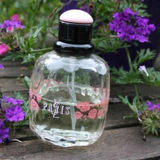 Paris Jardins Romantiques