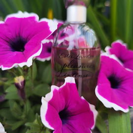 Pleasures Intense - Estēe Lauder
