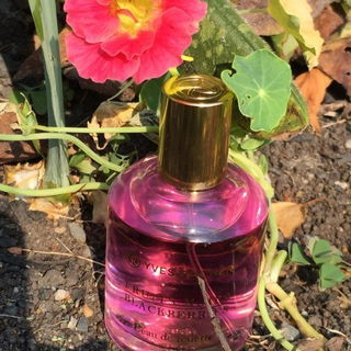 Fruits Noirs / Blackberries - Yves Rocher