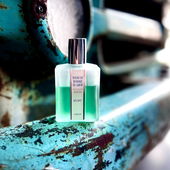 Need for Speed (von Kokusai)