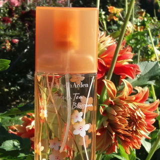 Green Tea Nectarine Blossom - Elizabeth Arden