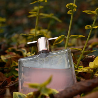 Idôle Aura - Lancôme