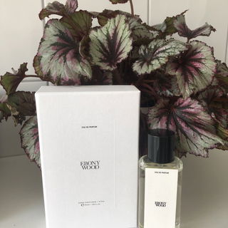 Ebony Wood (Eau de Parfum) / N°03 Ebony Wood von Zara
