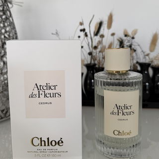 Cedrus (Eau de Parfum) von Chloé