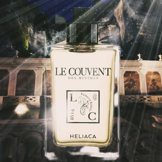 Pferdeschwemme in Salzburg mit Heliaca