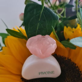 🩷🤍💛 Kuscheln mit der Sonnenblume 💛🤍🩷