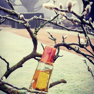 Revillon 4 by Revillon