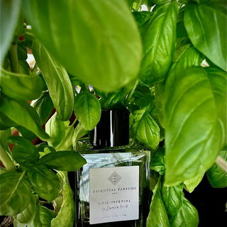 Bois Impérial (Eau de Parfum) von Essential Parfums