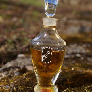 Princesse d'Albret (Eau de Toilette) - Orlane