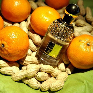 Aqua Allegoria Tiaré Mimosa von Guerlain