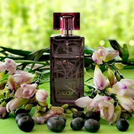 Amethyst - Lalique