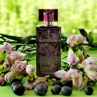 Amethyst - Lalique
