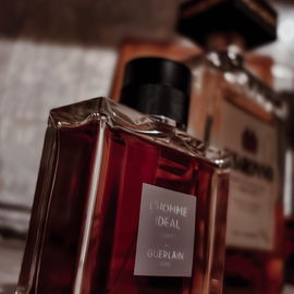 The key of this Fragrance is the Amaretto Accord