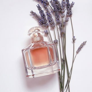 Serenity is violet💜