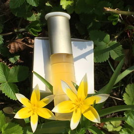 Calyx (Exhilarating Fragrance) - Prescriptives