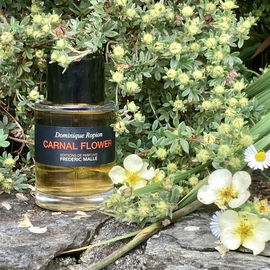 Carnal Flower (Eau de Parfum) - Editions de Parfums Frédéric Malle