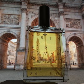 Siegestor München