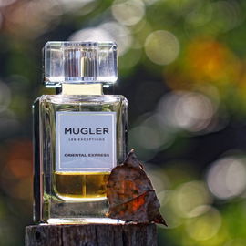 Oriental Extreme / Oriental Express - Mugler