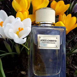 Vera Wang - Vera Wang
