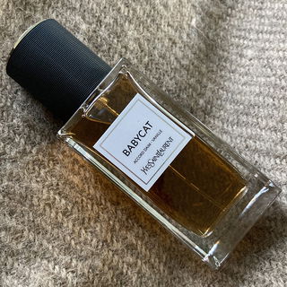 Babycat von Yves Saint Laurent