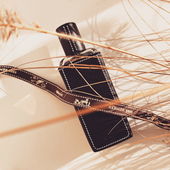 Danke fürs vorbeischauen & Lob, ich setze mich in die Sonne :-) (von Rivegauche)