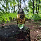 Surwold 🌳🌳🌳 (von DorisKa)