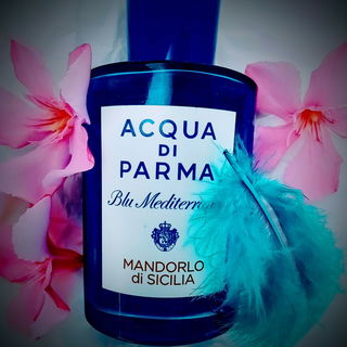 Black Opium (Eau de Parfum Over Red) - Yves Saint Laurent