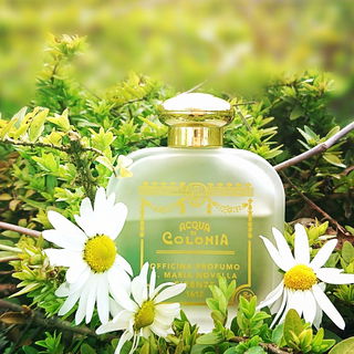 Città di Kyoto - Santa Maria Novella