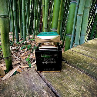 …📷🌍 Thank you. Danke schön. Merci beaucoup. Muchas gracias. Dōmo arigatō gozaimasu 💐…