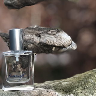 Loveswept (Eau de Toilette) - Philosophy