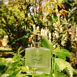 Acqua di Giò - Giorgio Armani