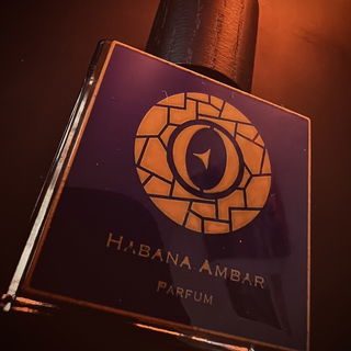 Habana Ambar von Ensar Oud / Oriscent