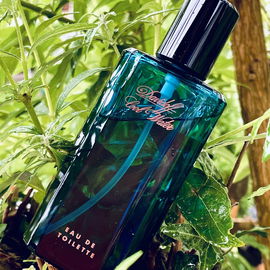 Cool Water (Eau de Toilette) by Davidoff