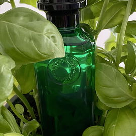 Eau Rose (Eau de Parfum) - Diptyque