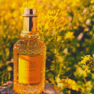 Das Bild ist nicht so gelungen, aber die Farbe gefiel mir. Goldener Oktober.